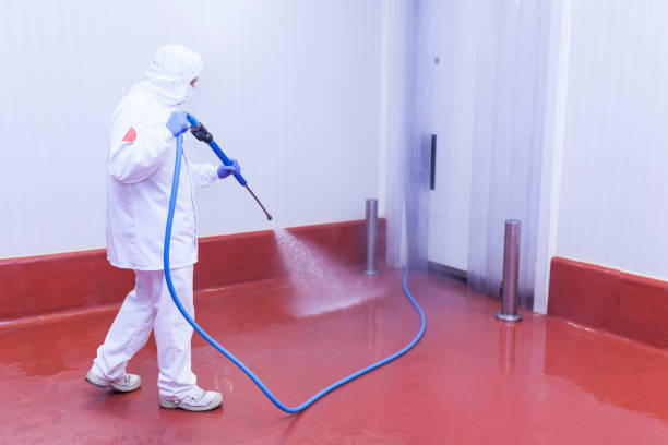 Best Patio and Deck Pressure Washing  in Taft, FL