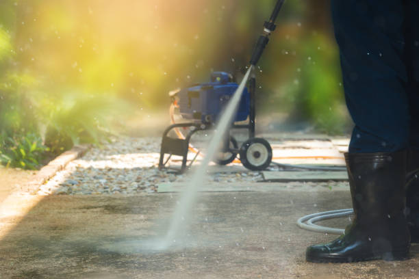 Best Animal Enclosure Cleaning  in Taft, FL
